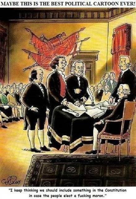 constitutional reform ...